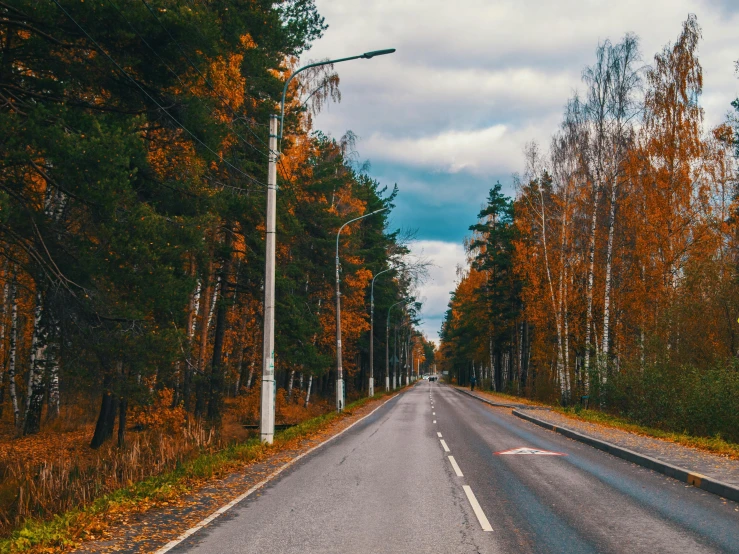 an empty road in the middle of a forest, by Jaakko Mattila, pexels contest winner, realism, soviet suburbs, gray and orange colours, 🚿🗝📝