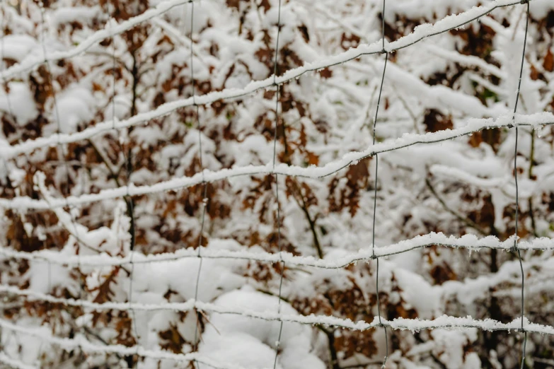a fence is covered with snow in front of some trees