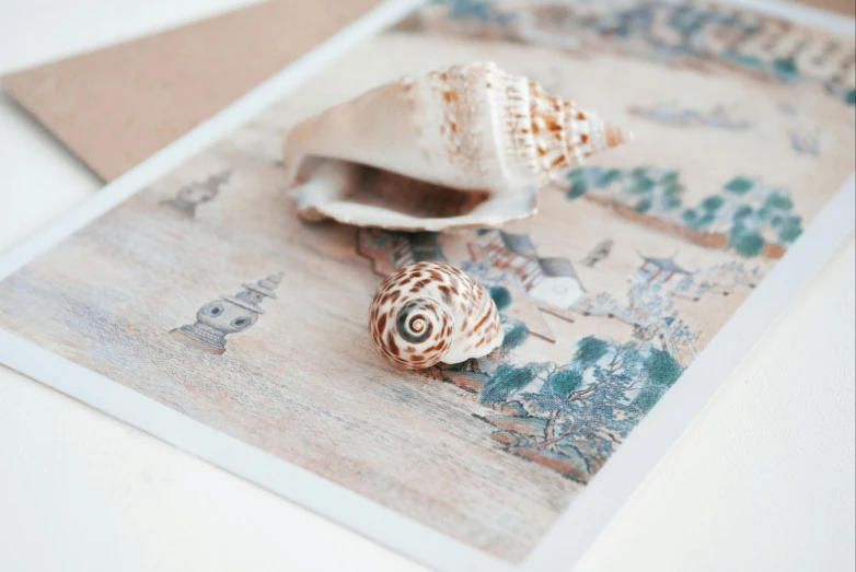 a couple of seashells sitting on top of a piece of paper, inspired by Zhou Shuxi, pexels contest winner, ivory and copper, chinese heritage, delicate garden on paper, photographic print