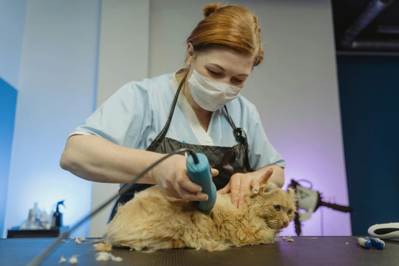 a woman in a face mask grooming a cat, ginger hair and fur, foxish guy in a lab coat, thumbnail, ultra textured