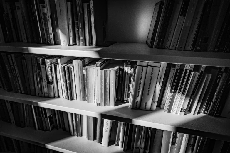 a black and white photo of a bookshelf, a black and white photo, pexels, late afternoon lighting, 15081959 21121991 01012000 4k
