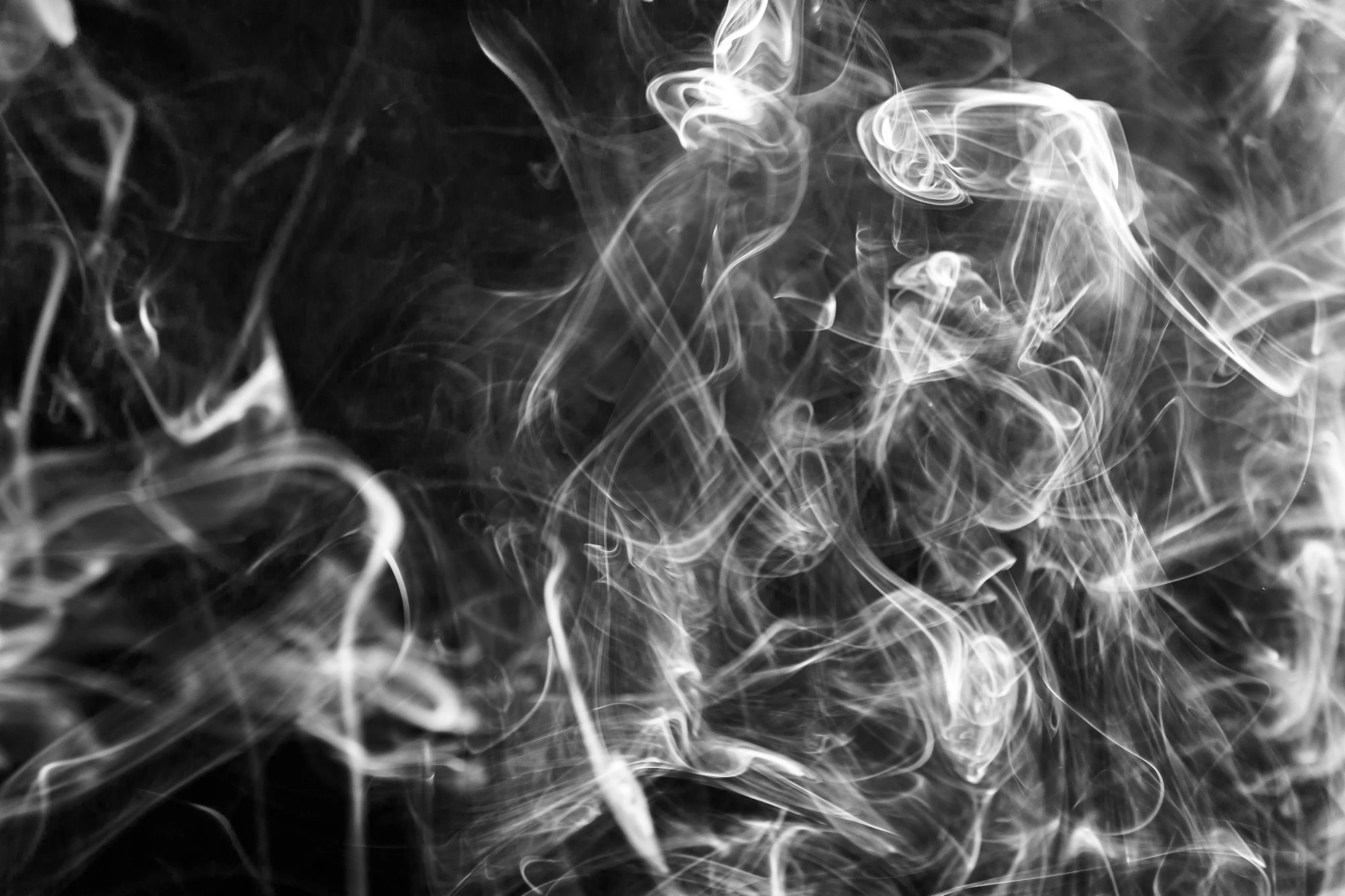 a black and white photo of smoke, pexels, process art, artwork, istockphoto, diffuse outline, stockphoto