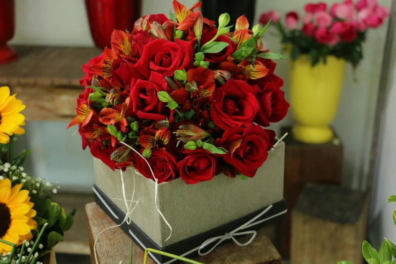 a square vase holding bright red flowers in a garden