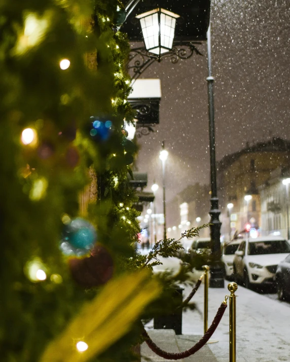 a street light in the snow near a tree