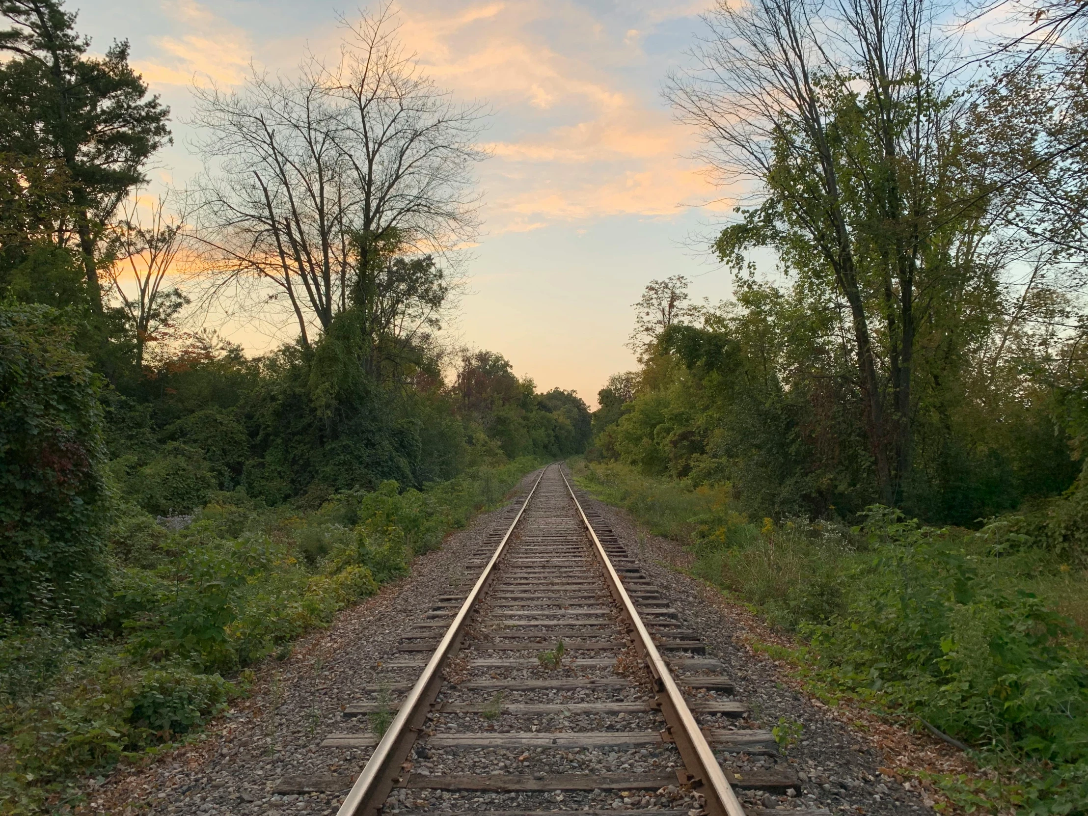 a train track in the middle of a wooded area, by Carey Morris, looking off into the sunset, clear skies in the distance, 2022 photograph, from wheaton illinois