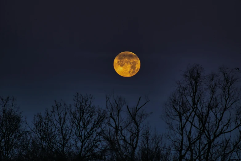 a full moon is seen through the trees, by Alison Geissler, pexels, yellow, 8 0 mm photo, high quality image, february)