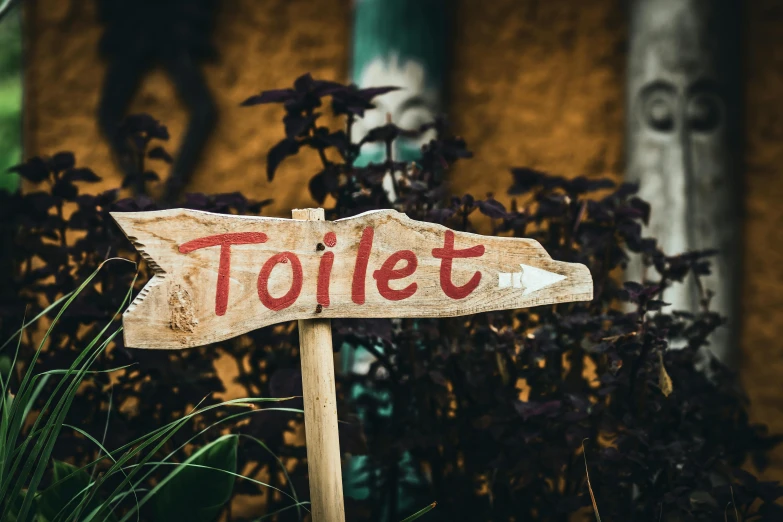 a wooden sign sitting next to a bush