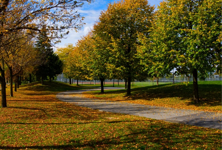 a park with lots of trees and leaves on the ground, by Maksimilijan Vanka, toronto, fan favorite, wide greenways, landscape view