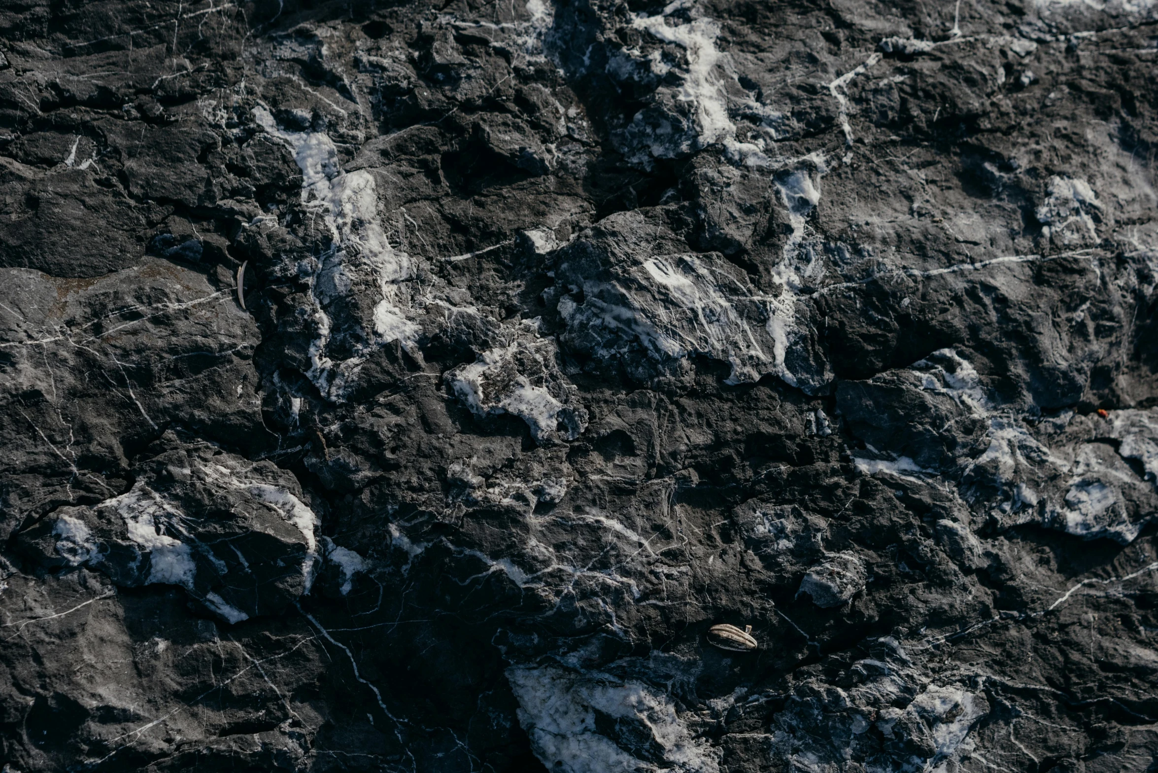 a bird flying over a very large rocky hillside