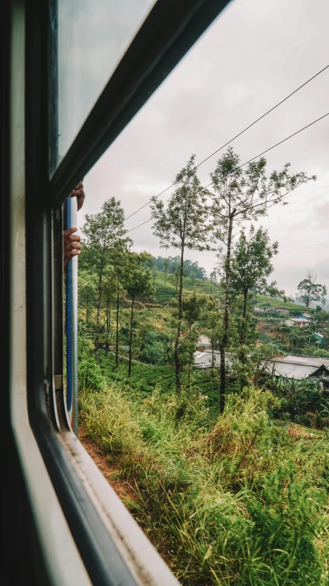 a person looking out of a train window in the countryside