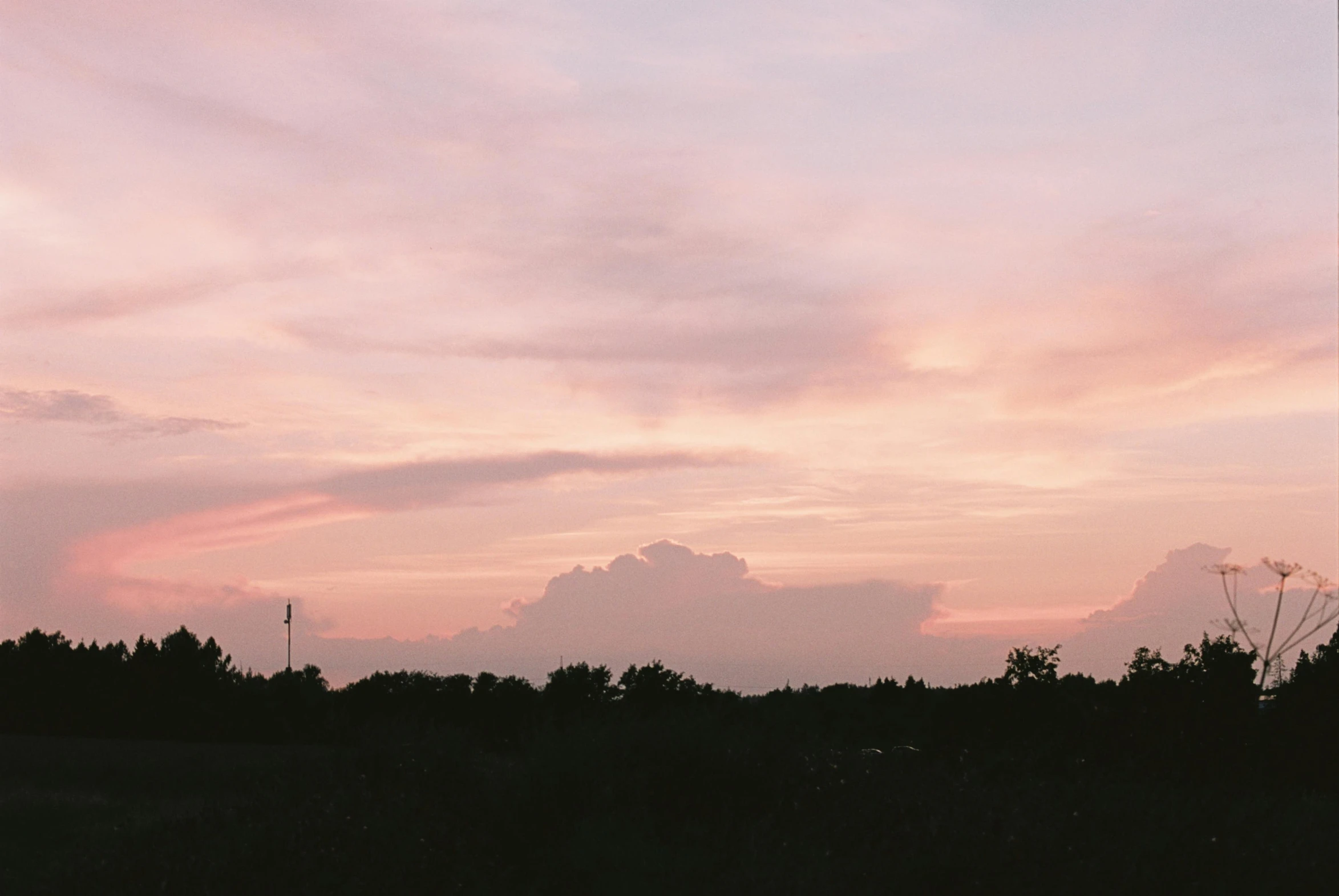 there are two giraffes that are standing in the field