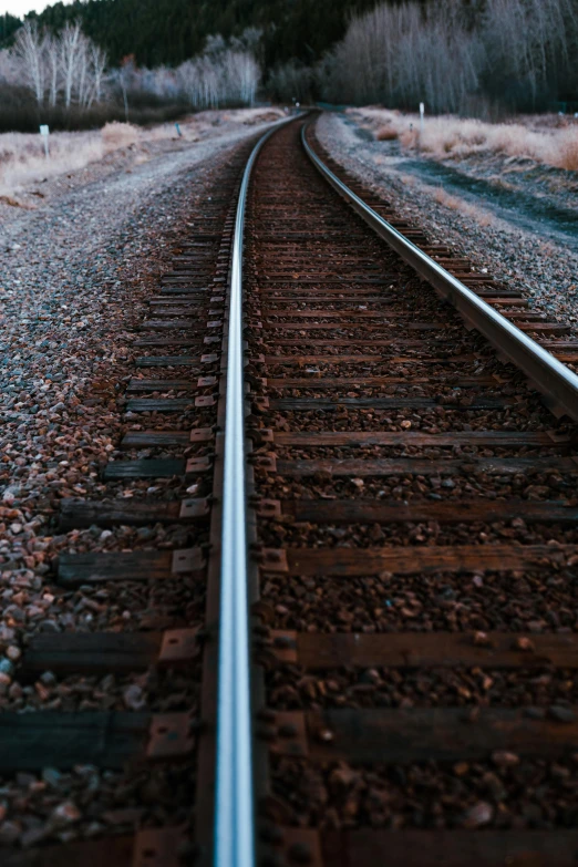 a close up of a train track with trees in the background, by Carey Morris, unsplash, renaissance, plain background, multiple stories, during the night, brown