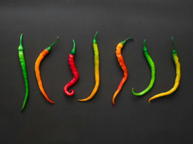 a row of chili peppers sitting on top of a black surface, inspired by Jan Rustem, trending on pexels, process art, multicoloured, squids, 5 feet away, product design shot