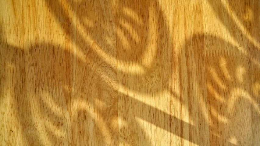 a pair of scissors sitting on top of a cutting board, shadows from trees, oak parquet, sunlight filtering through skin, yellowish light