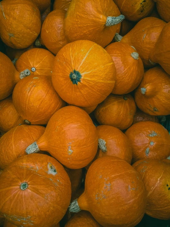 a pile of oranges sitting on top of each other, by Carey Morris, unsplash contest winner, pumpkins, 2 5 6 x 2 5 6 pixels, lo fi, concert