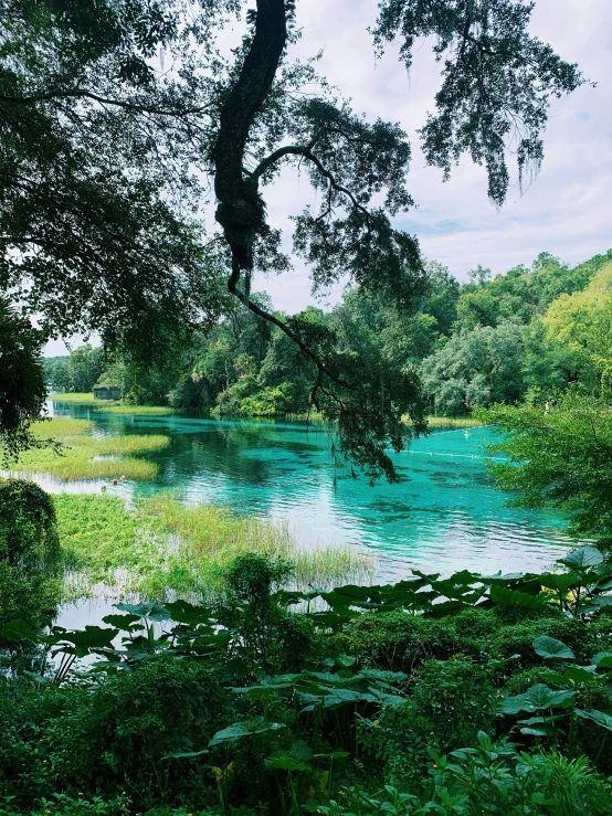 a river running through a lush green forest, turquoise and venetian red, family friendly, lake blue, 🌸 🌼 💮