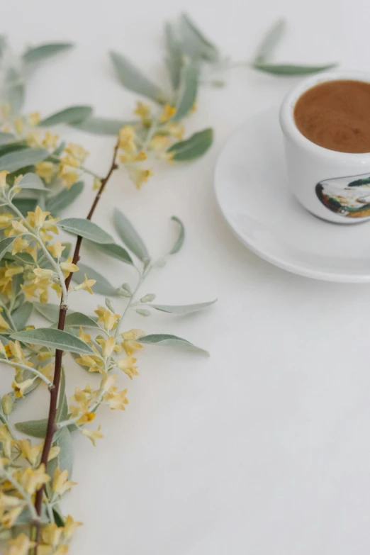 an empty white coffee cup with green leaves and flowers