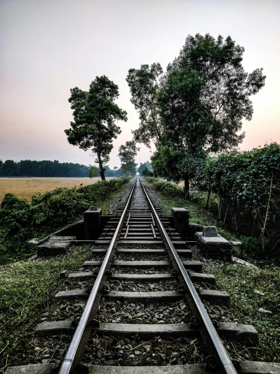 a train track in the middle of a field, inspired by Steve McCurry, unsplash contest winner, hyperrealism, bangladesh, at twilight, eyelevel perspective image, perpendicular to the camera