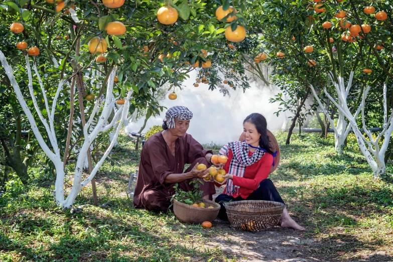 a couple of people sitting under an orange tree, local foods, avatar image, hoang lap, background image