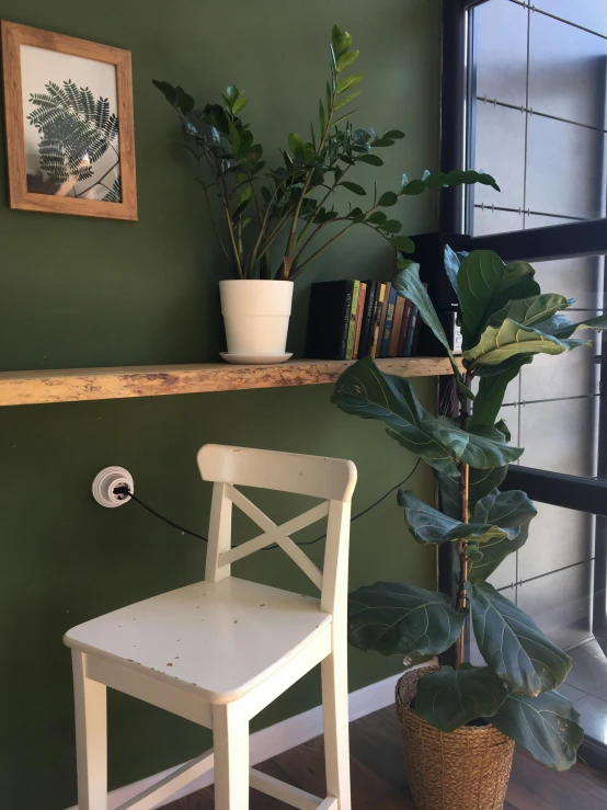 a room with some plants and a chair in it