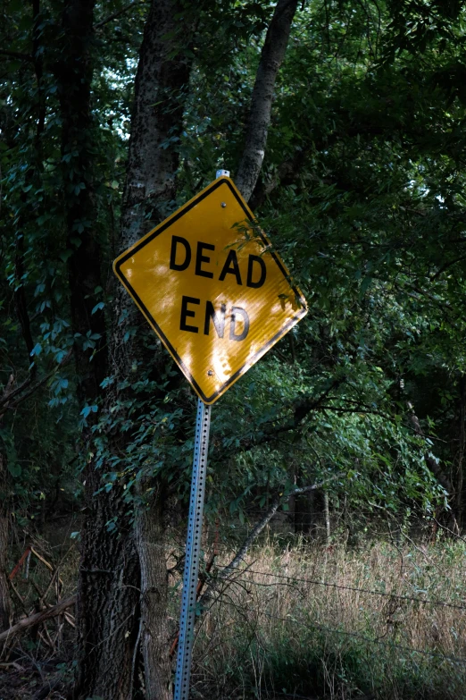 a dead end sign in the woods next to a tree