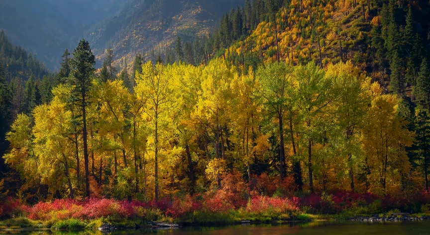 an image of a beautiful autumn day in the mountains