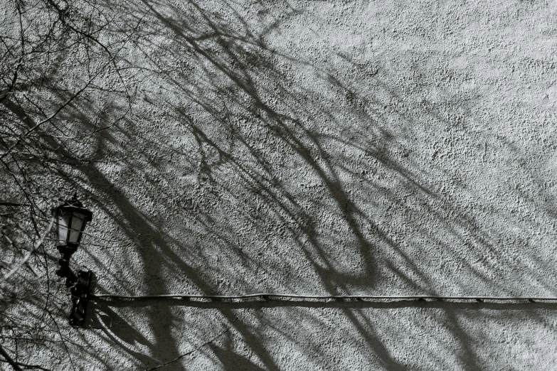 a black and white photo of a street light, a black and white photo, lyrical abstraction, shadows from trees, winter sun, photograph from above, maxim sukharev