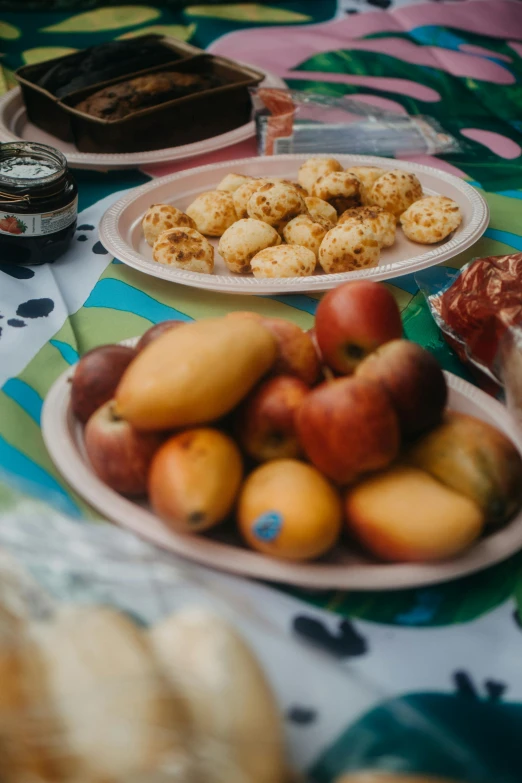 a table topped with plates of food on top of a table, by Daniel Lieske, unsplash, process art, madagascar, apples, 2 5 6 x 2 5 6 pixels, having a picnic