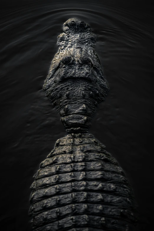 a large alligator floating on top of a body of water, an album cover, unsplash contest winner, giger h r, very symmetrical face, taken with canon 5d mk4, wrinkled