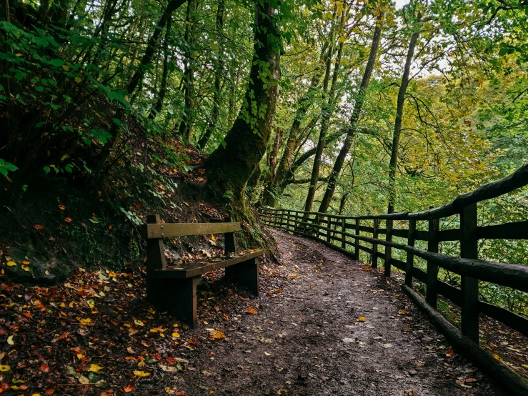 a wooden bench sitting on the side of a dirt road, inspired by Thomas Struth, unsplash, autumnal colours, in between a gorge, green alley, green spaces