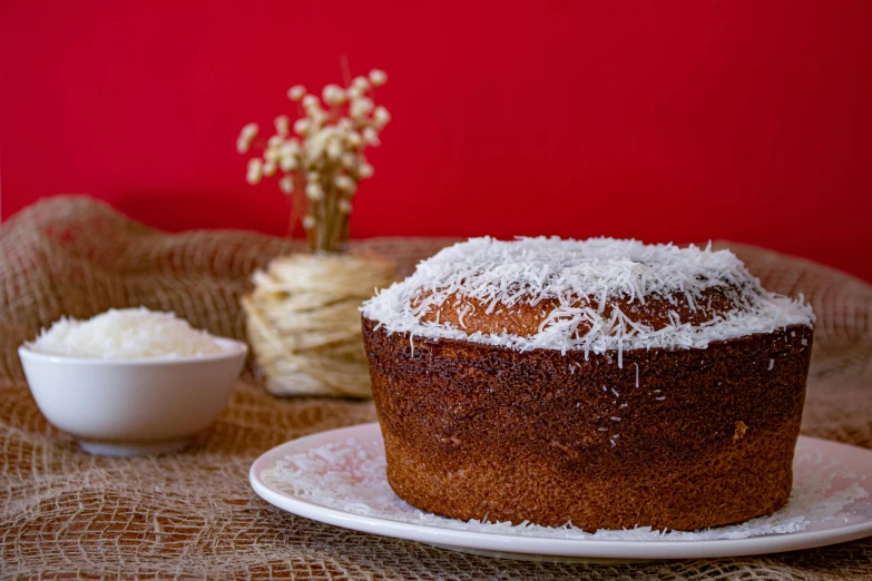 a cake sitting on top of a white plate, inspired by Jacopo Bellini, unsplash, renaissance, coconuts, powdered sugar, festive, high quality product image”