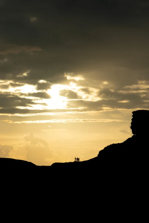 a lone bird sitting on top of a cliff