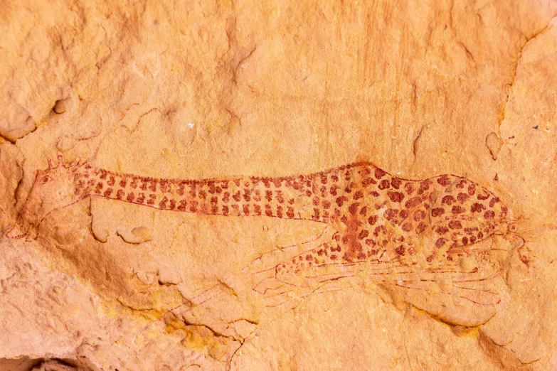 a painting of a giraffe on a rock, a cave painting, inspired by Albert Namatjira, trending on pexels, red salamander, birdseye view, long arm, sandstone