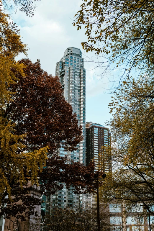 a red fire hydrant sitting in the middle of a park, a photo, unsplash contest winner, vancouver school, cascading highrise, an enormous silver tree, frank gehry, late autumn