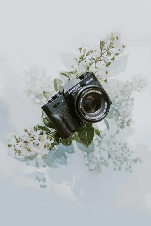 a camera sitting on top of a bed of flowers, on a pale background, fujifilm reala, with soft bushes, zoom in