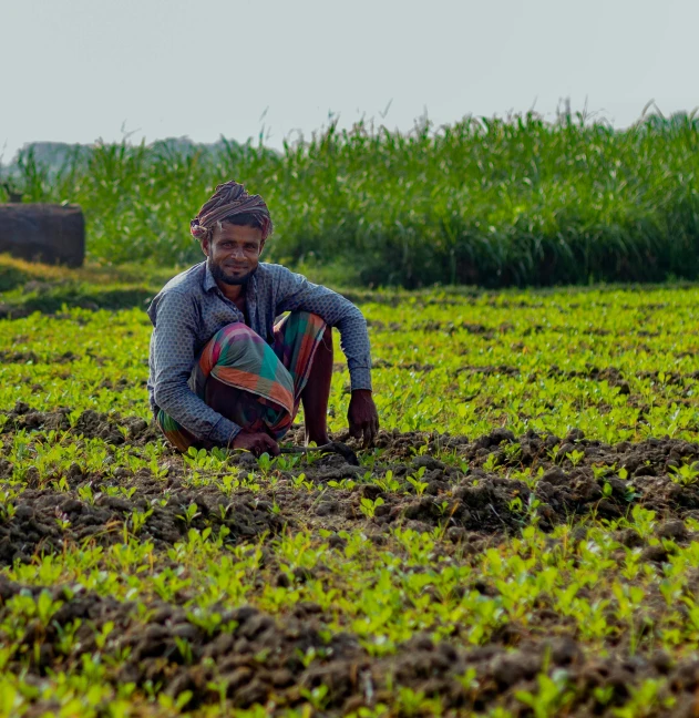 a man kneeling in the middle of a field, by Rajesh Soni, pexels contest winner, vegetable, avatar image, thumbnail, good face