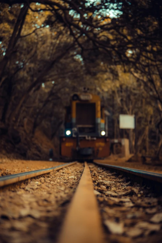 a train traveling down train tracks through a forest, by Elsa Bleda, unsplash contest winner, photorealism, ochre, mining, profile pic, low light cinematic