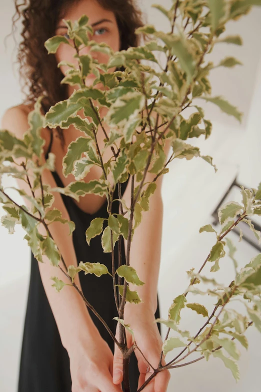 the woman is showing off a plant in front of her