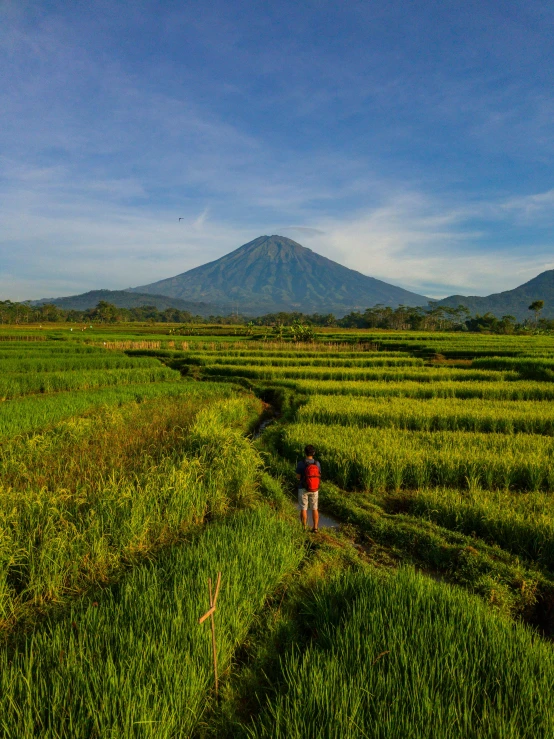 two people walking in a grassy field with mountains in the background