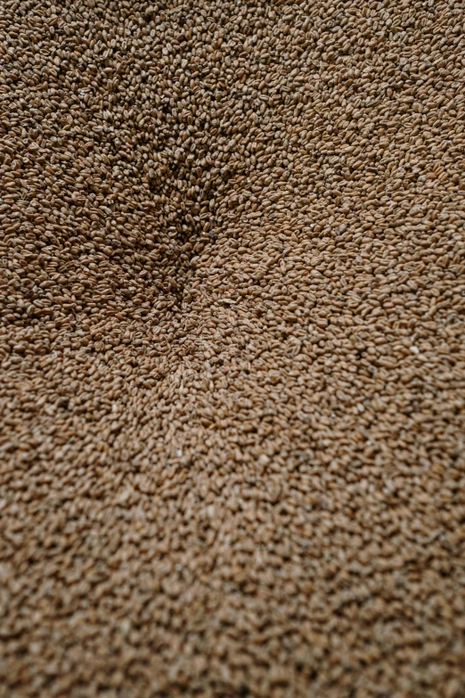 a brown area rug sitting on top of a wooden floor, reddit, hurufiyya, abundant fruition seeds, medium close-up shot, malt, detailed product image