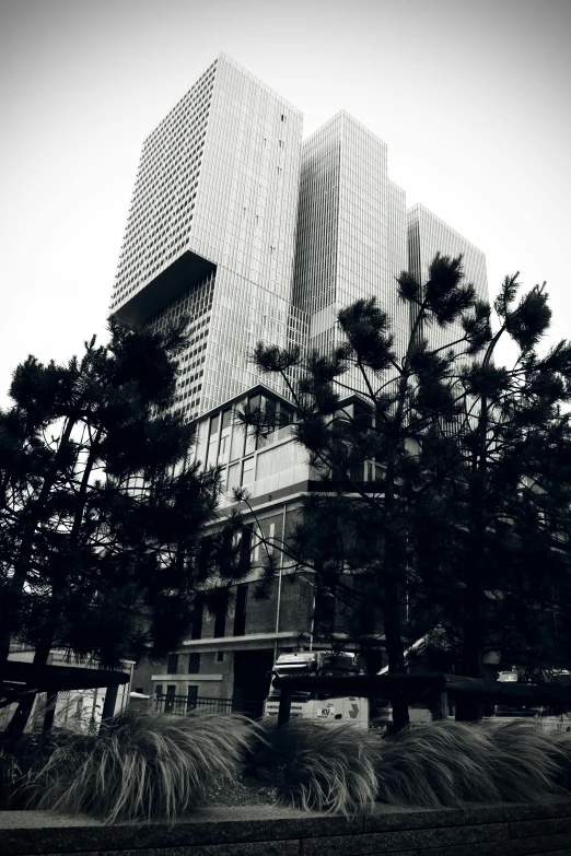 a tall office building sitting between two trees