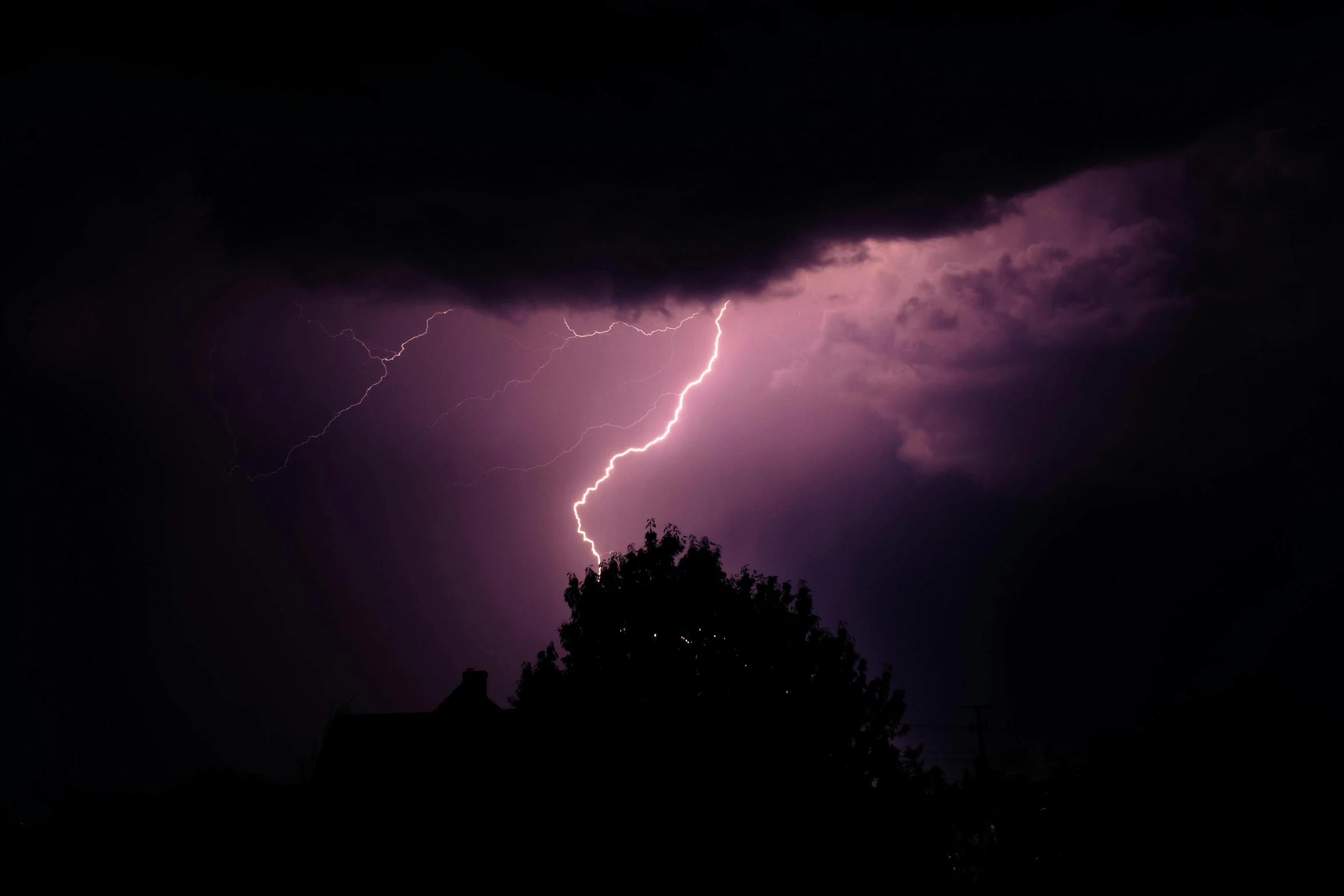 lightning strikes through the night sky with trees in foreground