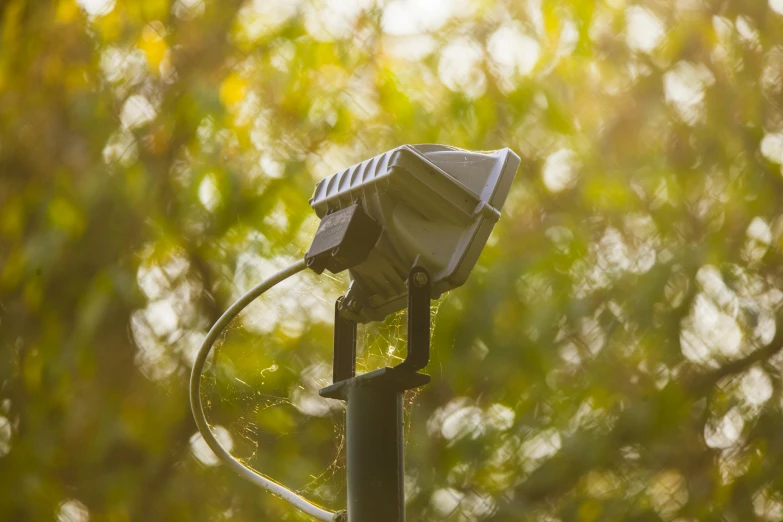 a close up of a street light with trees in the background, inspired by Elsa Bleda, unsplash, security camera, light casting onto the ground, on display, trail camera