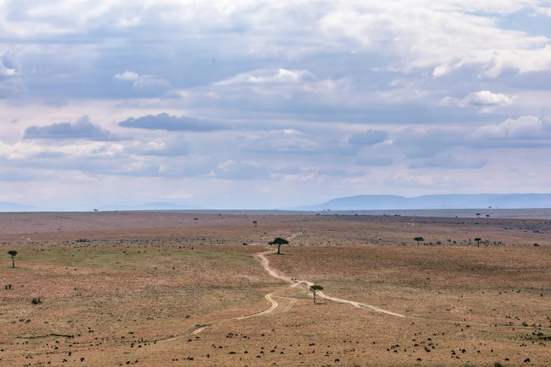 a giraffe standing on top of a dry grass covered field, vast expansive landscape, craters, long street, landscape photograph