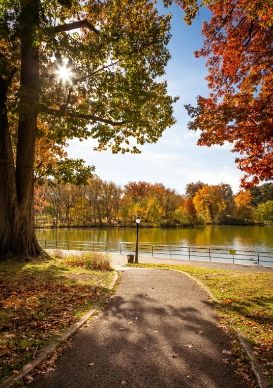 a path leading to a lake surrounded by trees, new york city, slide show, november, sunny day time