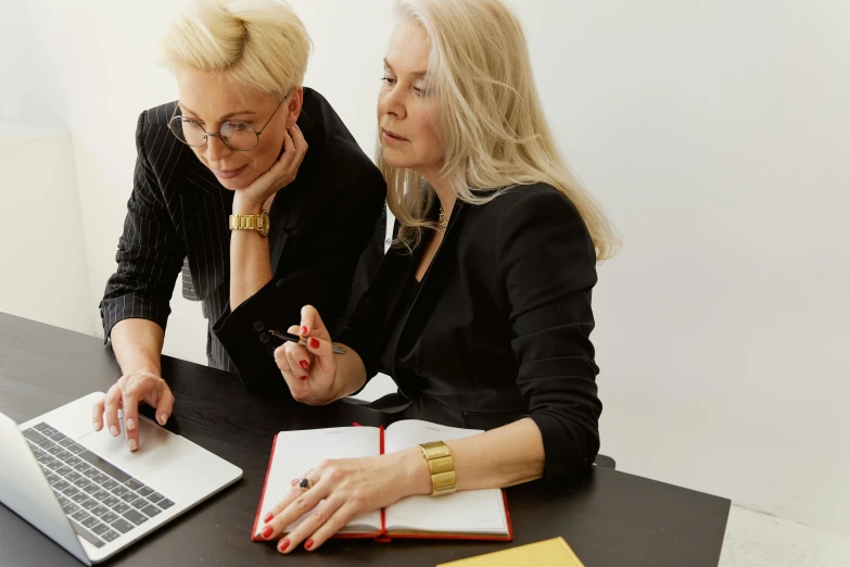 two women sitting at a table looking at a laptop, by Emma Andijewska, pexels, white haired lady, lawyer clothing, thumbnail, blonde crea