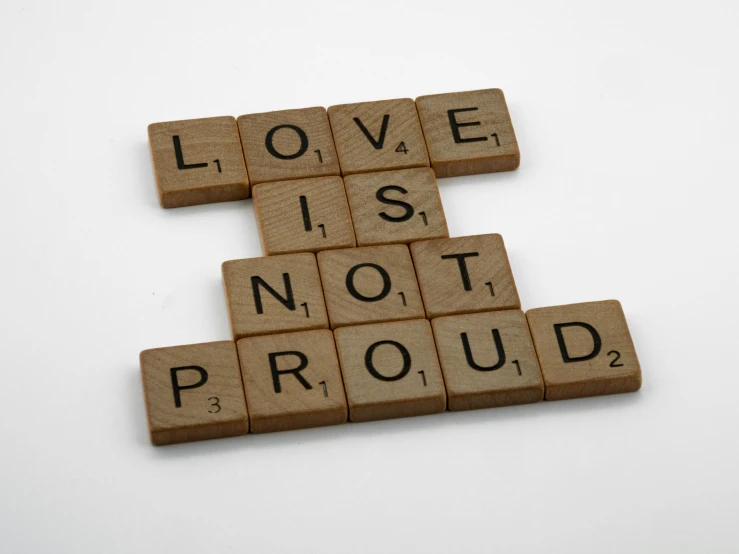 scrabbles spelling love is not proud on a white background, inspired by Banksy, unsplash, ffffound, gay rights, wooden, engraved