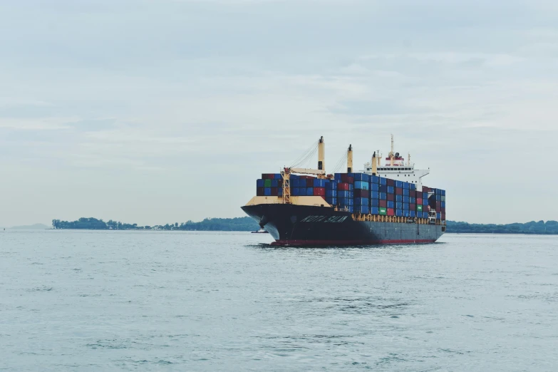 a large container ship traveling across a large body of water, by Carey Morris, pexels contest winner, figuration libre, looking to the side, avatar image, malaysian, inspect in inventory image