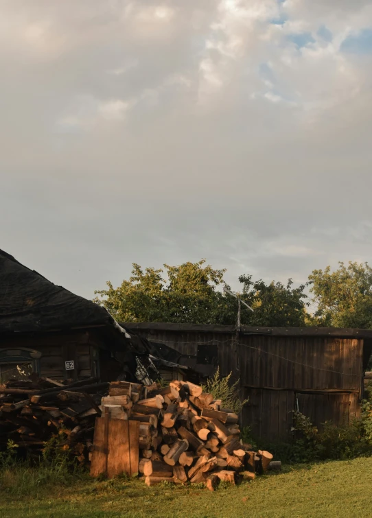 a horse standing next to a pile of wood, an album cover, inspired by Isaac Levitan, unsplash, modernism, burnt huts, cinematic photo 4k, panorama, shot on sony a 7