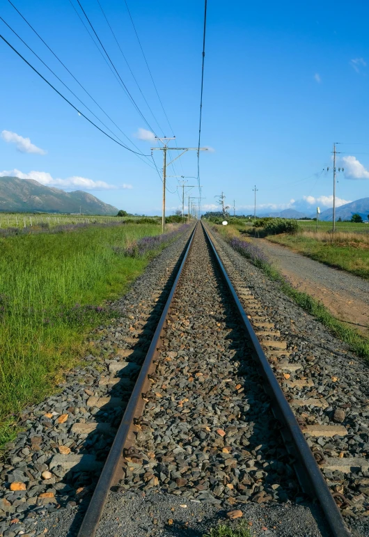 a train track running through a lush green field, with mountains in the distance, cables everywhere, 2022 photograph, full frame image